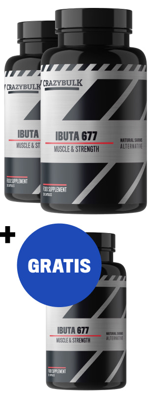 2 meses + 1 mes gratis