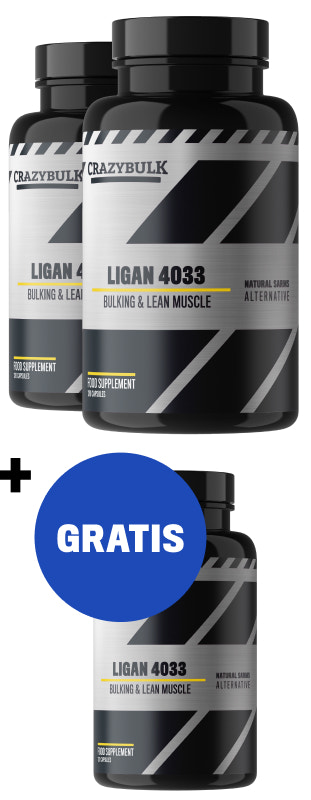 2 meses + 1 mes gratis