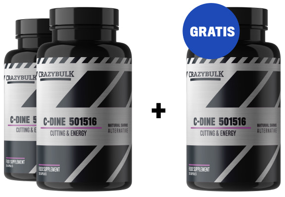 2 meses + 1 mes gratis